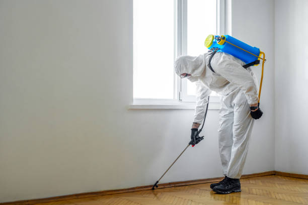 Best Exterminator Services  in Grace, ID