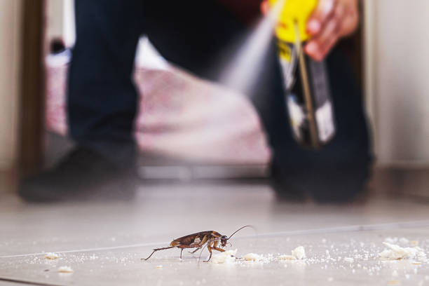 Best Bed Bug Extermination  in Grace, ID