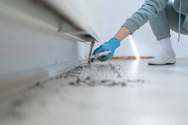 Best Affordable Pest Control Services  in Grace, ID